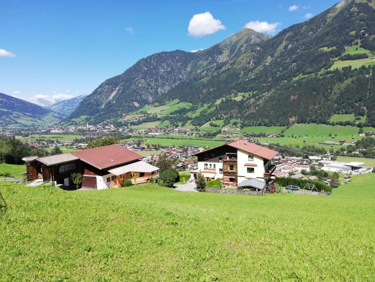 Urlaub Am Krausberghof, Apartment Mit Balkon Und Parkplatz, Inmitten Der Natur, Sauna Und Infrarotkabine, Kostenfreie Kaffeekapseln, 6 Fahrminuten Zur Alpentherme Gastein Und Zur Schlossalmbahn, Spielplatz บาดฮอฟกัสไตน์ ภายนอก รูปภาพ