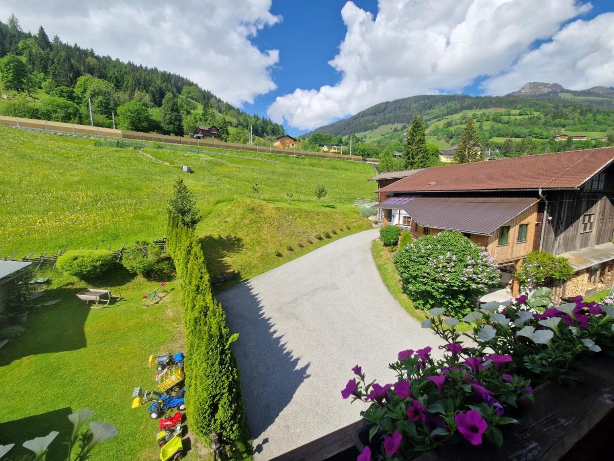 Urlaub Am Krausberghof, Apartment Mit Balkon Und Parkplatz, Inmitten Der Natur, Sauna Und Infrarotkabine, Kostenfreie Kaffeekapseln, 6 Fahrminuten Zur Alpentherme Gastein Und Zur Schlossalmbahn, Spielplatz บาดฮอฟกัสไตน์ ภายนอก รูปภาพ