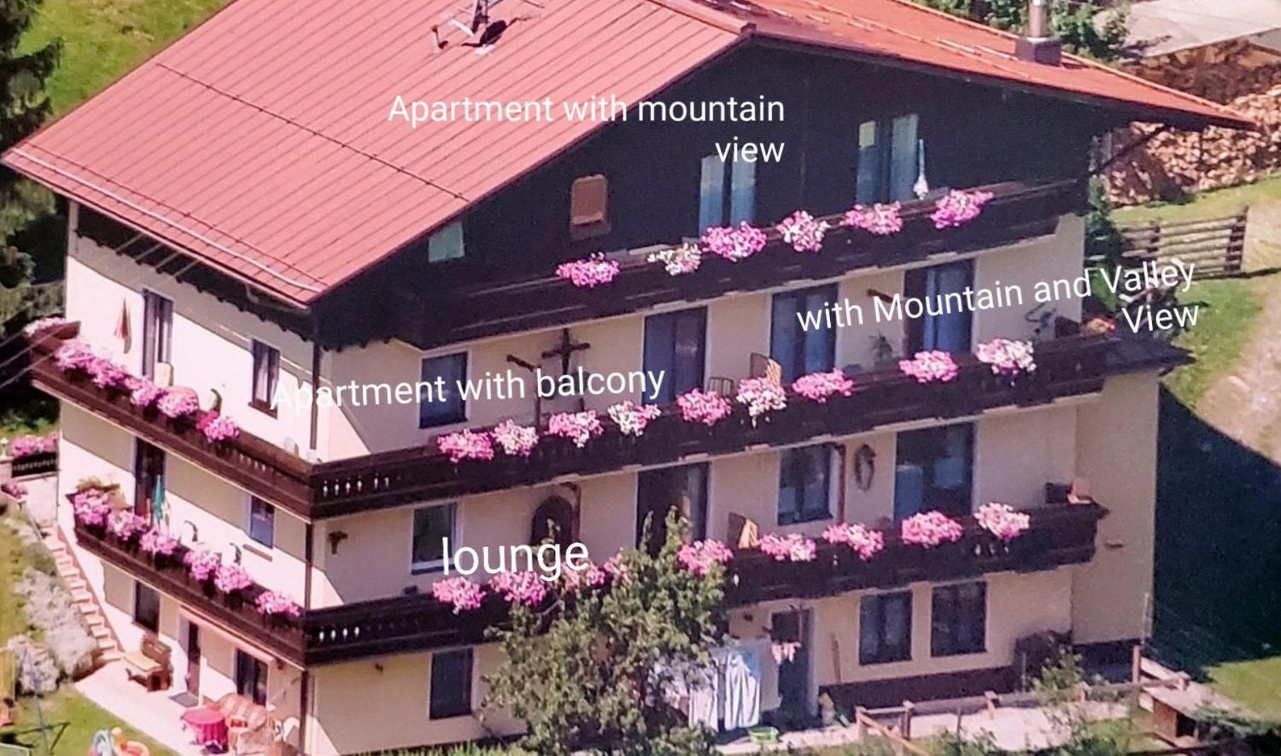 Urlaub Am Krausberghof, Apartment Mit Balkon Und Parkplatz, Inmitten Der Natur, Sauna Und Infrarotkabine, Kostenfreie Kaffeekapseln, 6 Fahrminuten Zur Alpentherme Gastein Und Zur Schlossalmbahn, Spielplatz บาดฮอฟกัสไตน์ ภายนอก รูปภาพ